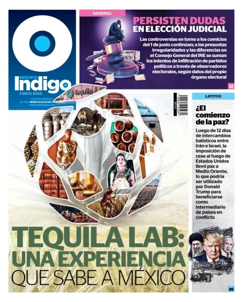 Portada de Reporte Indigo