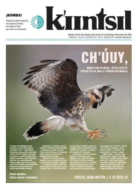 Portada de La Jornada - Kiintsil del viernes, 27 de junio de 2025