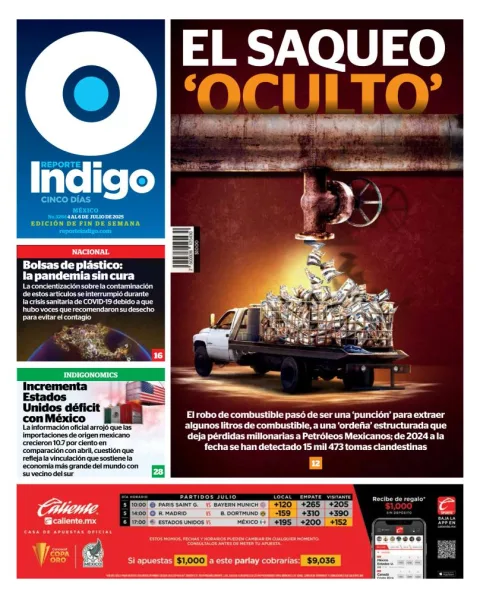 Portada de Reporte Indigo