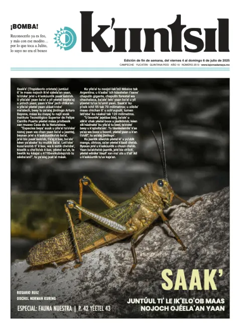 Portada de La Jornada - Kiintsil