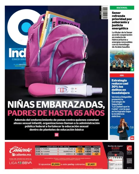 Portada de Reporte Indigo