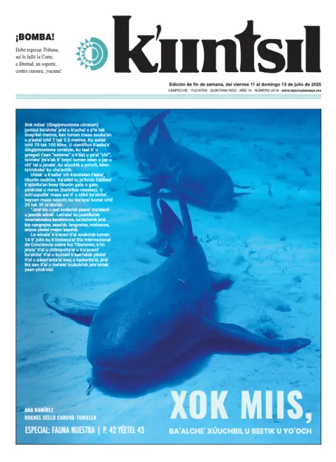Portada de La Jornada - Kiintsil del viernes, 11 de julio de 2025