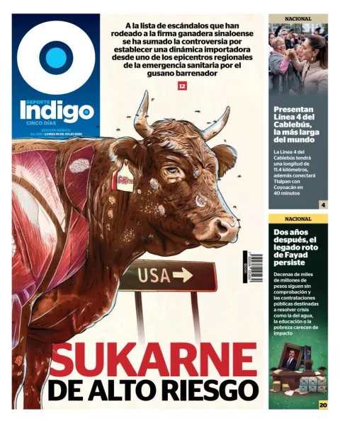Portada de Reporte Indigo