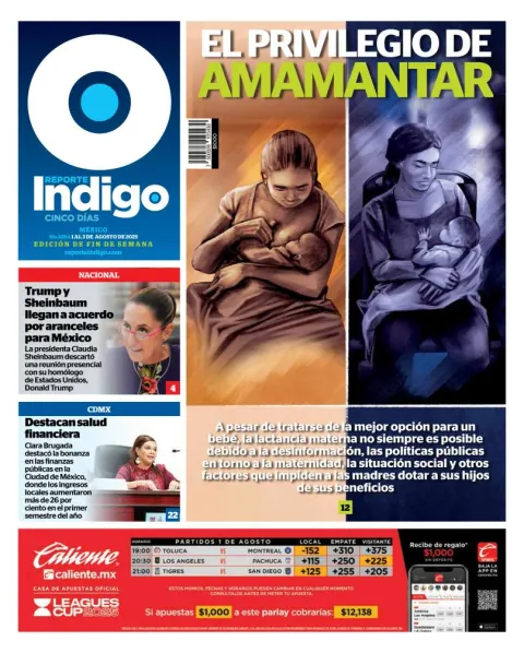 Portada de Reporte Indigo