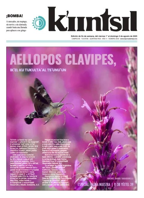 Portada de La Jornada - Kiintsil del viernes, 1 de agosto de 2025