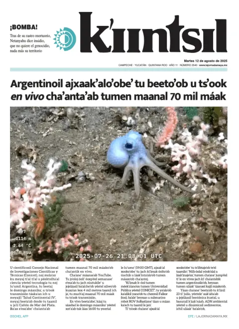 Portada de La Jornada - Kiintsil