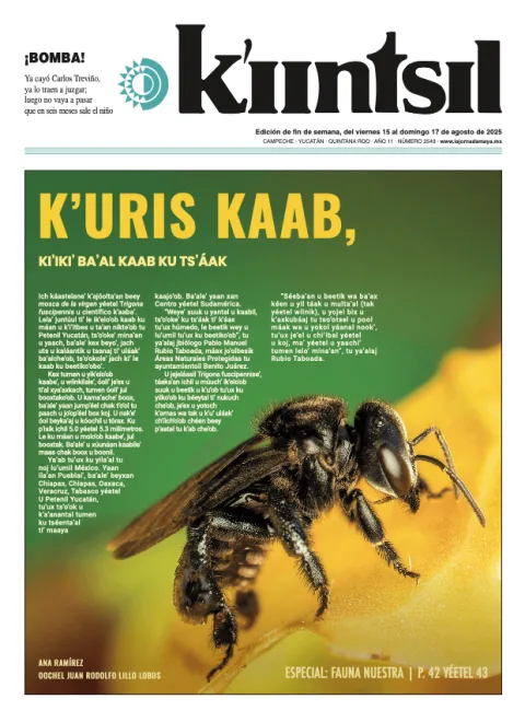 Portada de La Jornada - Kiintsil