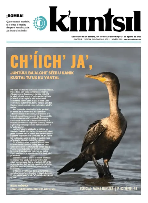 Portada de La Jornada - Kiintsil