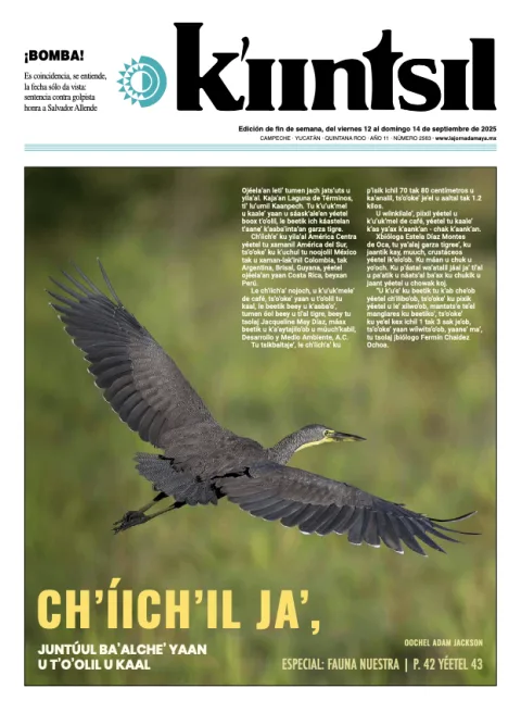 Portada de La Jornada - Kiintsil del viernes, 12 de septiembre de 2025