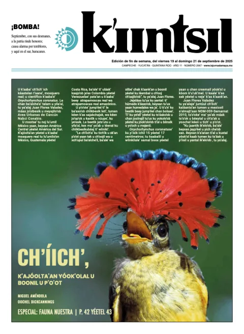 Portada de La Jornada - Kiintsil