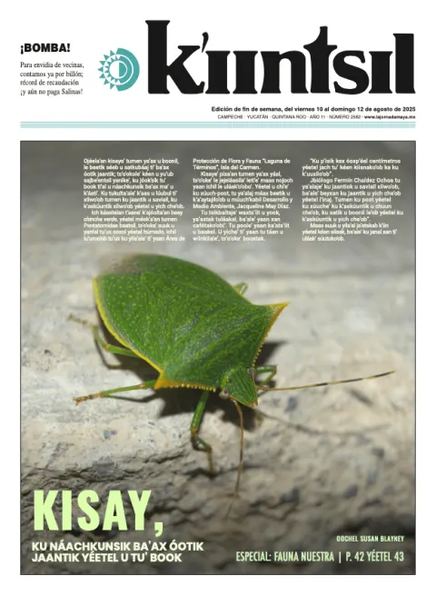 Portada de La Jornada - Kiintsil