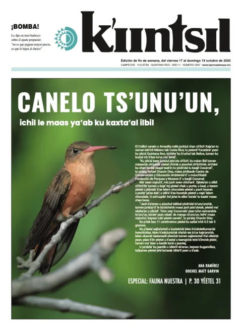Portada de La Jornada - Kiintsil