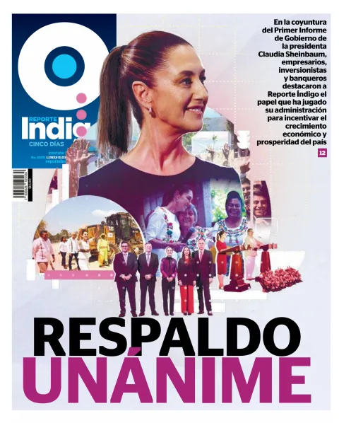 Portada de Reporte Indigo Nacional