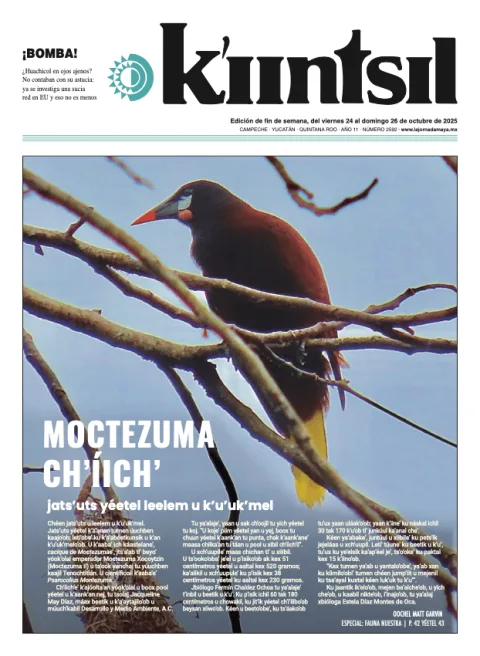 Portada de La Jornada - Kiintsil
