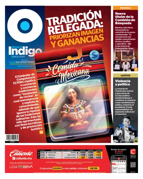 Portada de Reporte Indigo Nacional