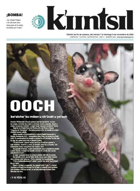 Portada de La Jornada - Kiintsil del viernes, 7 de noviembre de 2025
