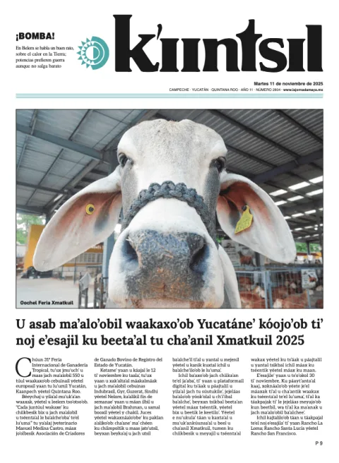Portada de La Jornada - Kiintsil del martes, 11 de noviembre de 2025