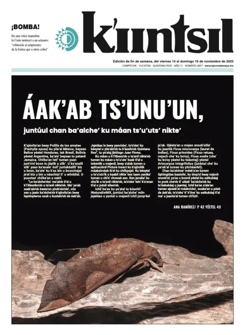 Portada de La Jornada - Kiintsil del viernes, 14 de noviembre de 2025