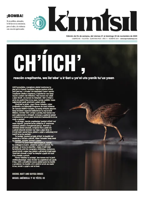 Portada de La Jornada - Kiintsil del viernes, 21 de noviembre de 2025