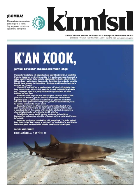 Portada de La Jornada - Kiintsil del viernes, 12 de diciembre de 2025