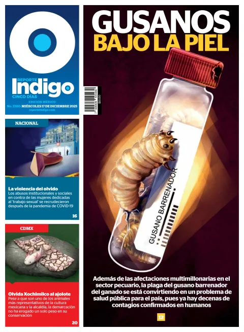 Portada de Reporte Indigo Nacional del miércoles, 17 de diciembre de 2025