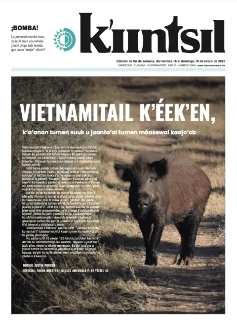 Portada de La Jornada - Kiintsil del viernes, 16 de enero de 2026