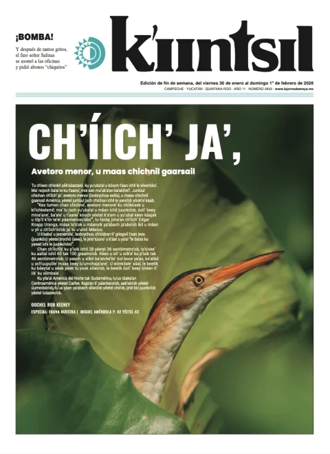 Portada de La Jornada - Kiintsil del viernes, 30 de enero de 2026