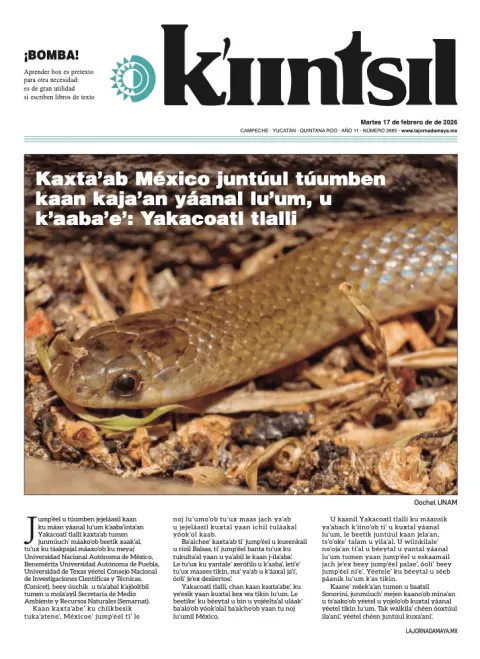 Portada de La Jornada - Kiintsil del martes, 17 de febrero de 2026