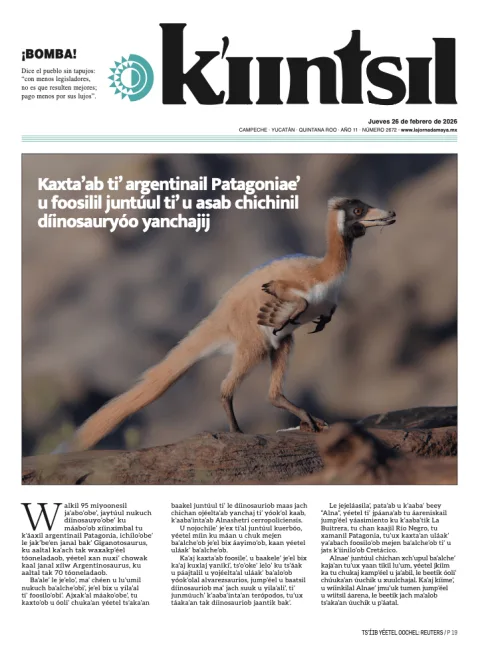 Portada de La Jornada - Kiintsil del jueves, 26 de febrero de 2026