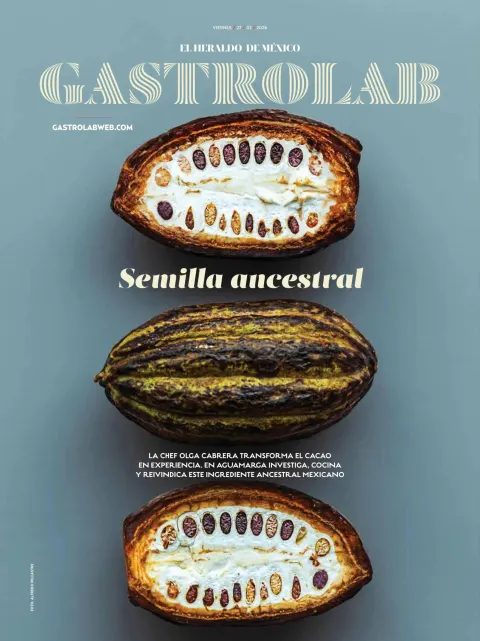 Portada de El Heraldo de Mexico