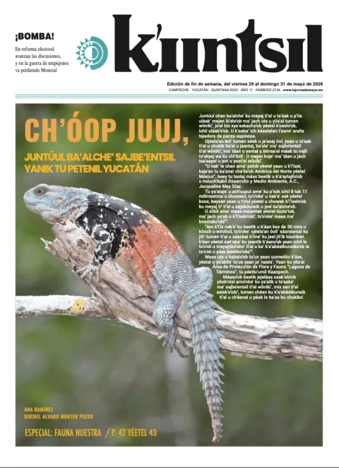 Portada de La Jornada - Kiintsil del viernes, 29 de mayo de 2026