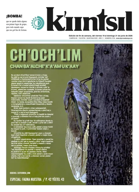 Portada de La Jornada - Kiintsil del viernes, 19 de junio de 2026