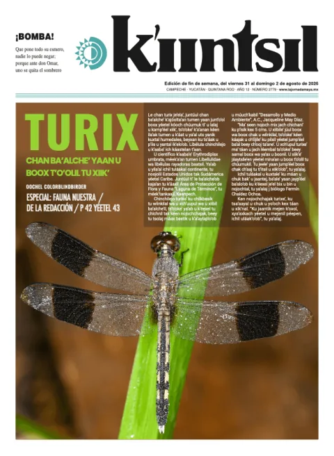 Portada de La Jornada - Kiintsil del 2026-07-31