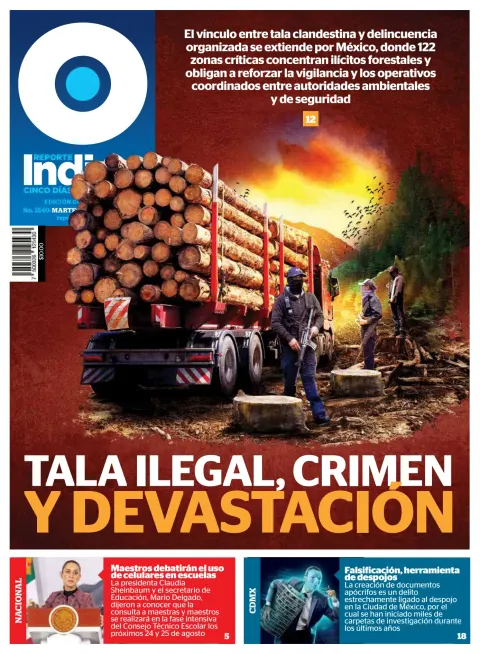 Portada de Reporte Indigo Guadalajara