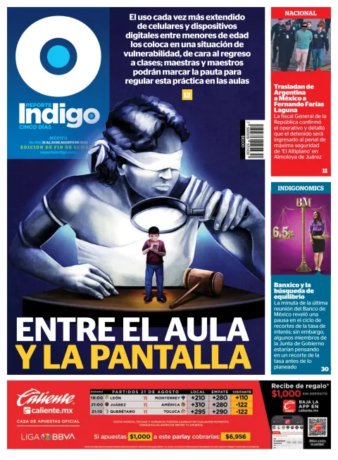 Portada de Reporte Indigo Nacional