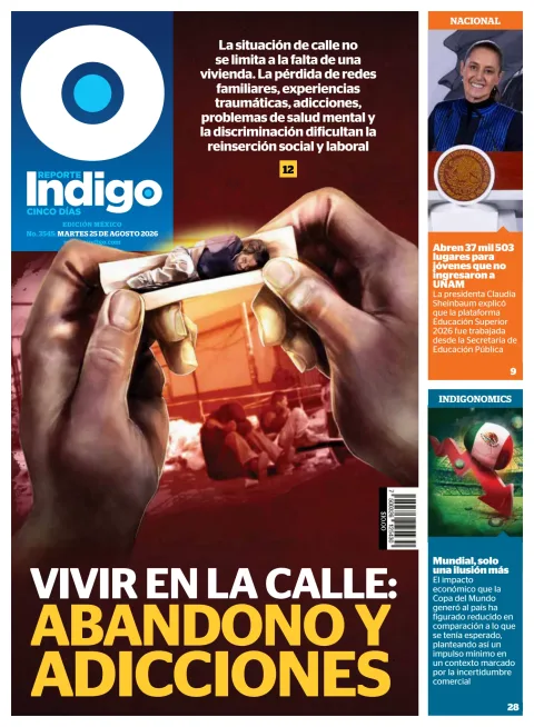 Portada de Reporte Indigo Nacional