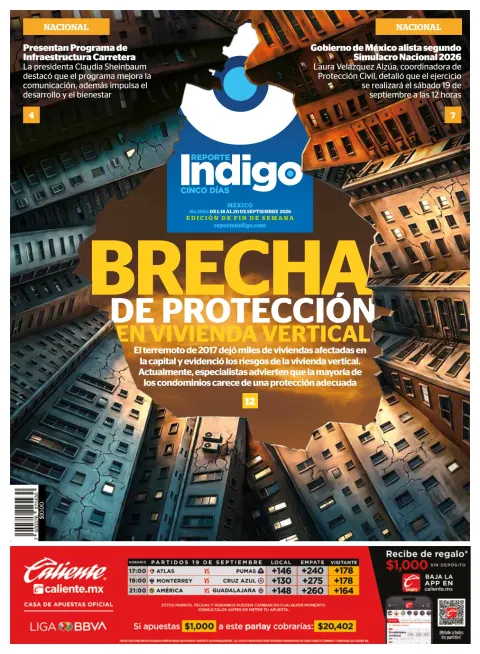 Portada de Reporte Indigo Nacional
