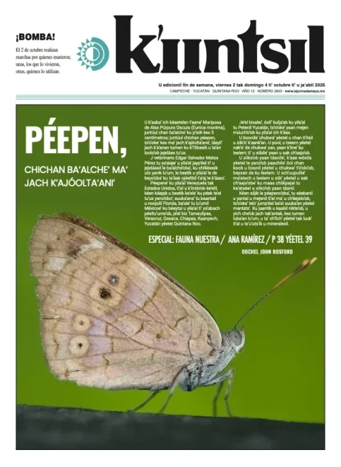 Portada de La Jornada - Kiintsil