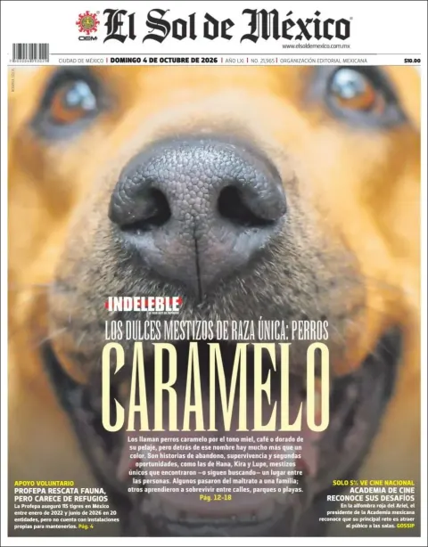Portada de El Sol de Mexico