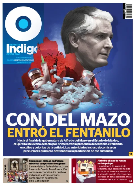 Portada de Reporte Indigo Nacional