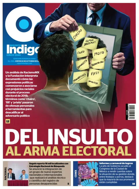 Reporte Indigo Guadalajara