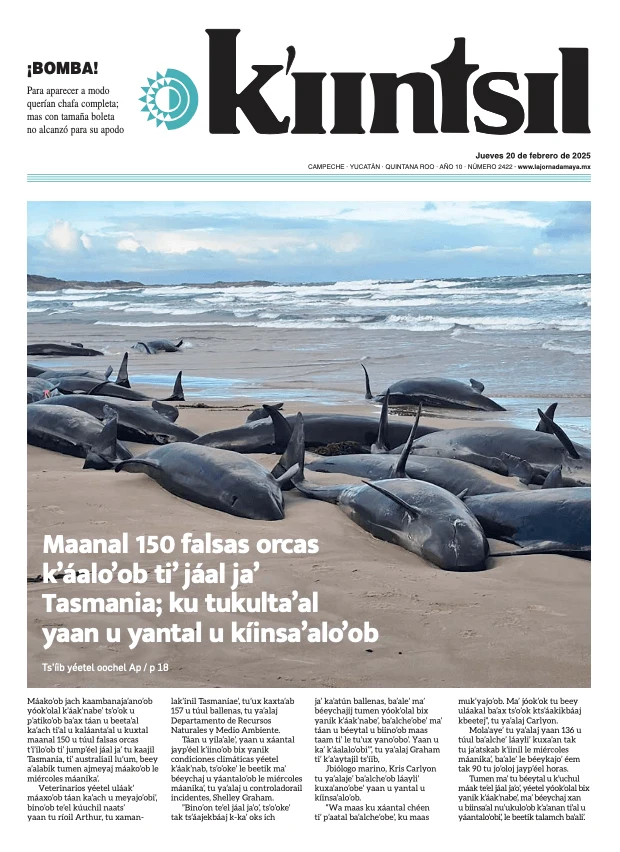 Portada de La Jornada - Kiintsil del jueves, 20 de febrero de 2025