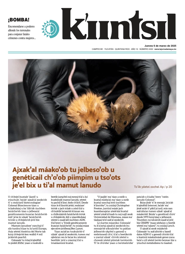 Portada de La Jornada - Kiintsil del jueves, 6 de marzo de 2025