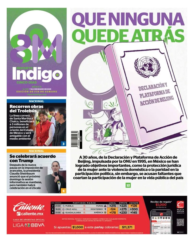Portada de Reporte Indigo