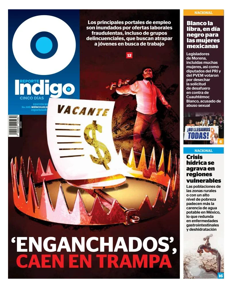 Portada de Reporte Indigo