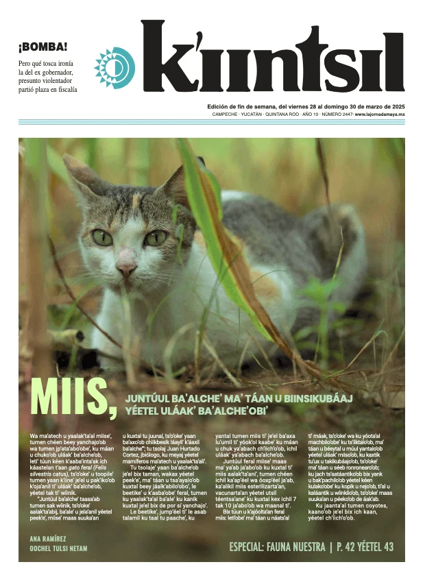 Portada de La Jornada - Kiintsil del viernes, 28 de marzo de 2025