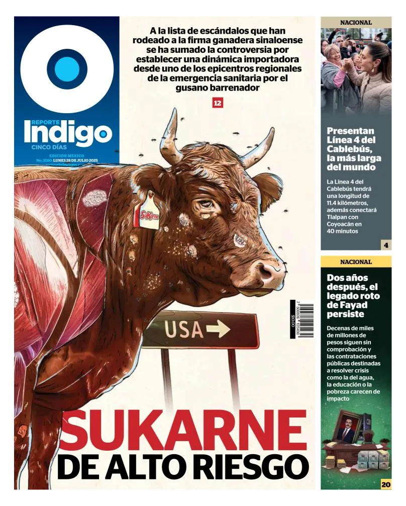 Portada de Reporte Indigo