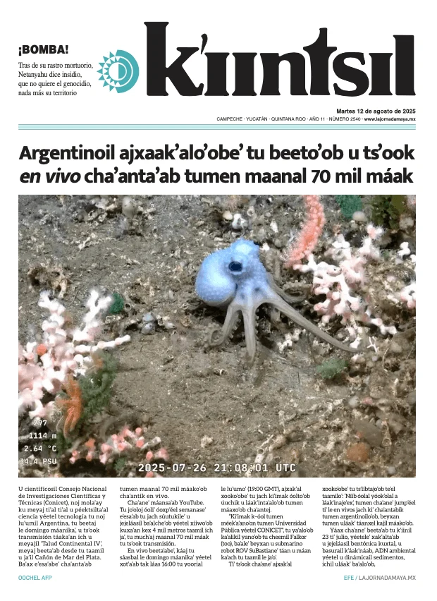 Portada de La Jornada - Kiintsil del martes, 12 de agosto de 2025