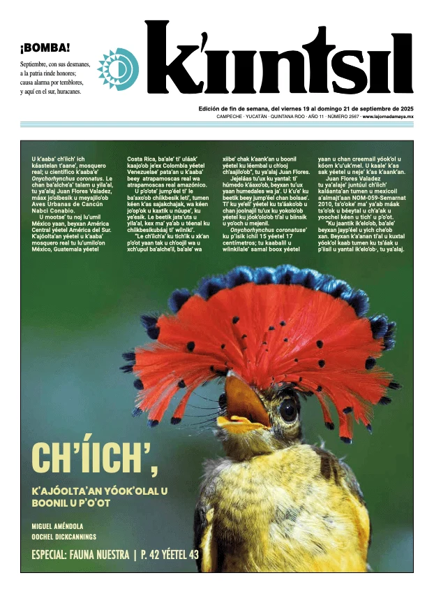Portada de La Jornada - Kiintsil