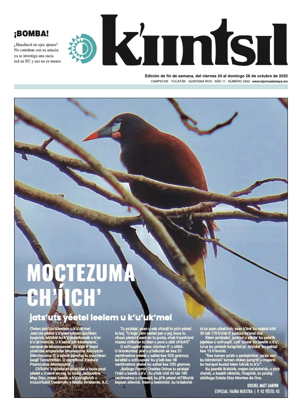 Portada de La Jornada - Kiintsil